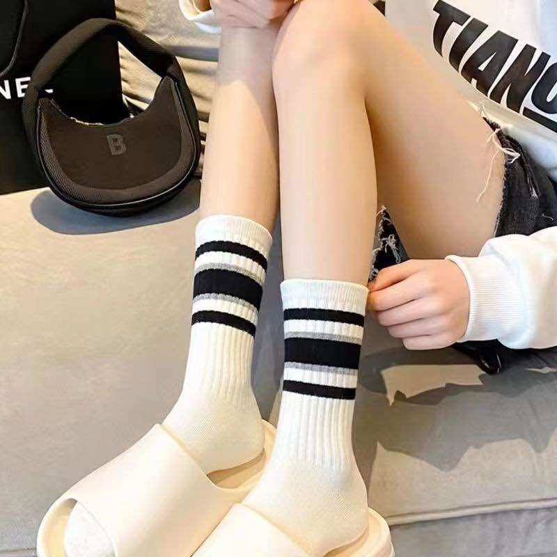 Set 5 vớ nữ cổ cao, vớ kẻ sắc màu
