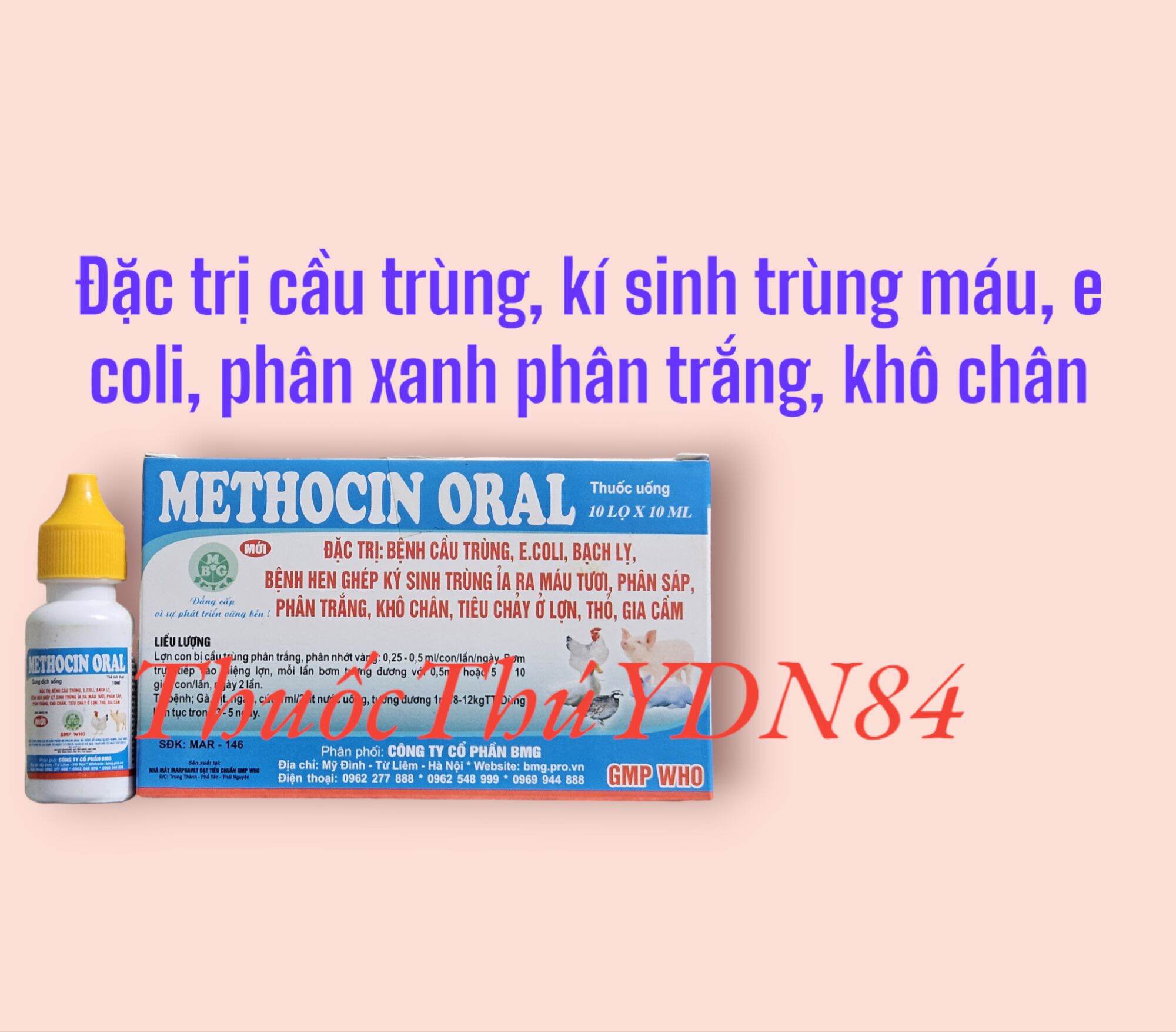 Hộp 10 lọ methocin oral 10ml phân trắng lợn con, cầu trùng, kí sinh trùng máu gà