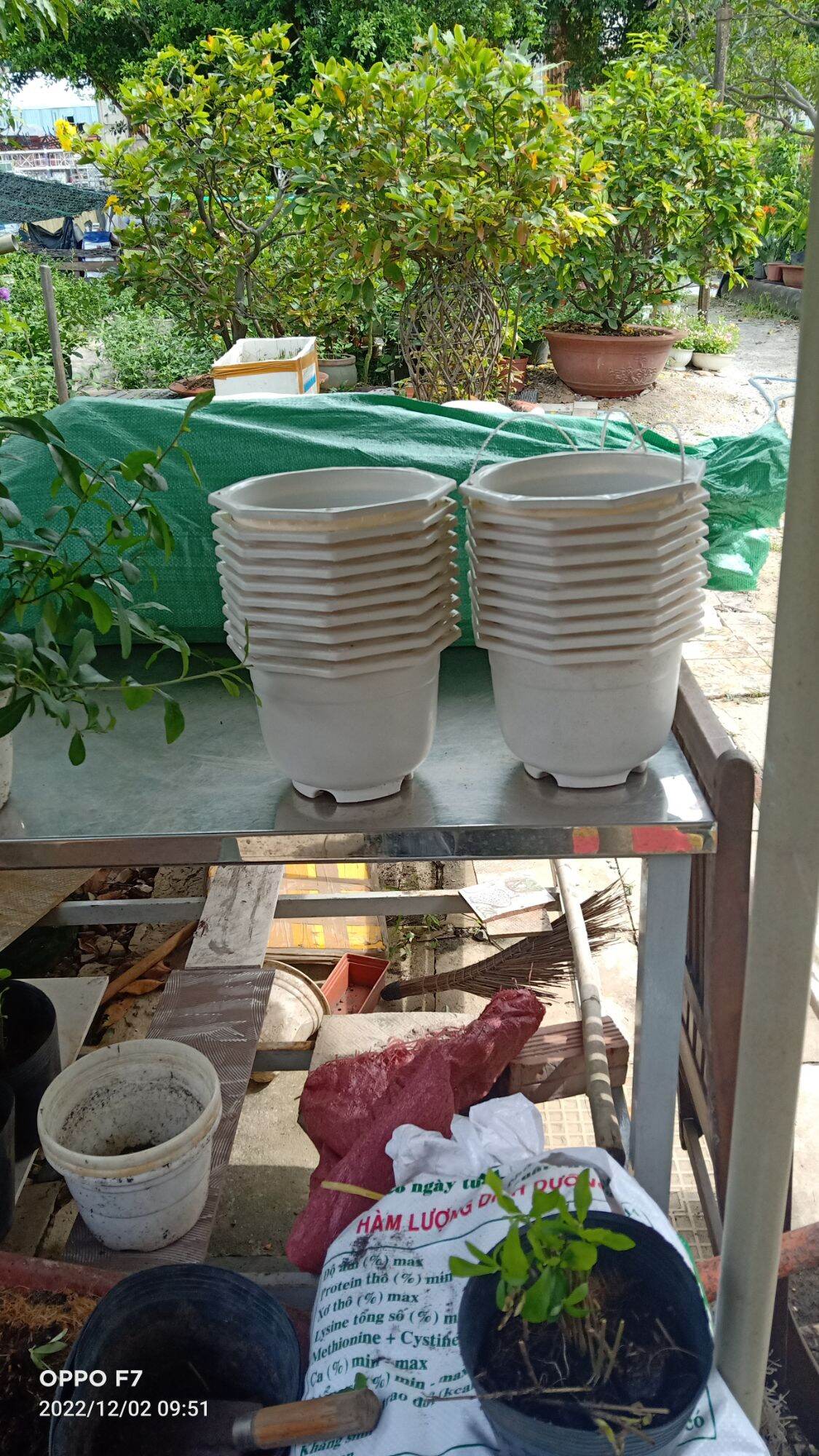 Combo 10 chậu nhựa treo màu trắng trơn