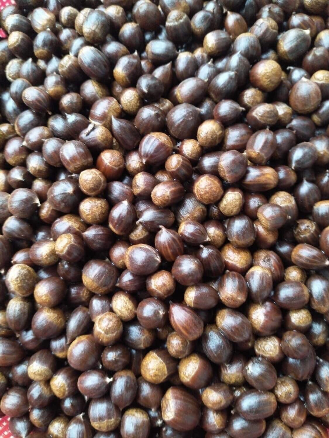Hạt dẻ rừng-1kg