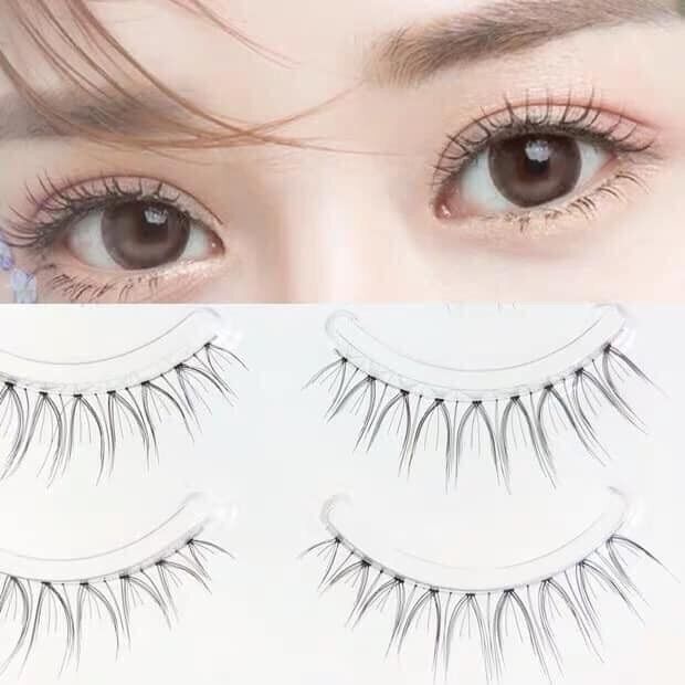 Mi gân trong tự nhiên Apex G008
