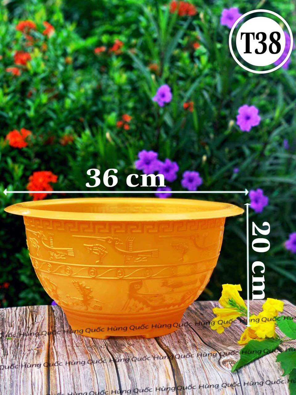 Chậu nhựa trồng cây t38 vàng