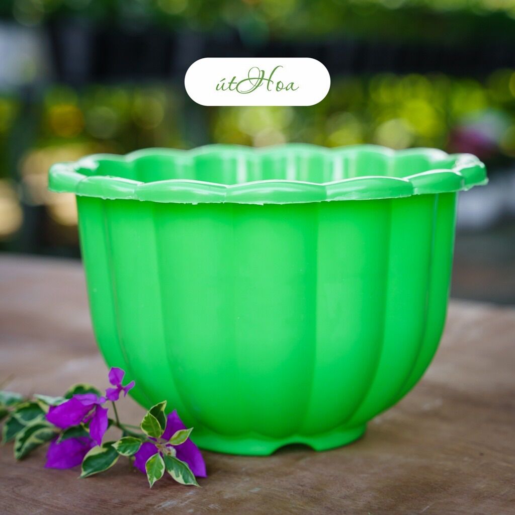 Combo 10 Chậu Treo Bí Lớn 22X14Cm (Chọn Màu, Kèm Dây Treo)
