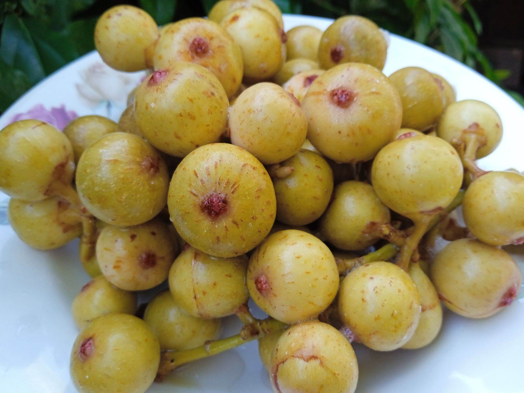 Sung muối chua hữu cơ 500g
