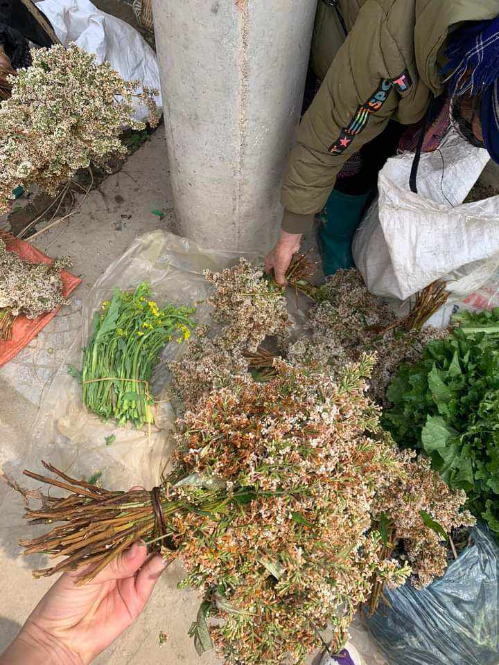 Hoa bó phón ( hoa mật mông) làm xôi vàng (1bó)