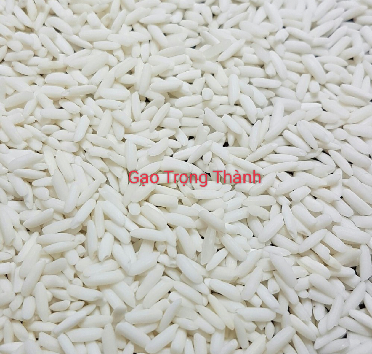Gạo Nếp Thái(1kg)