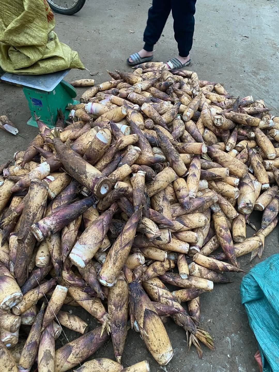 Măng vầu ngọt Tây Bắc 1kg