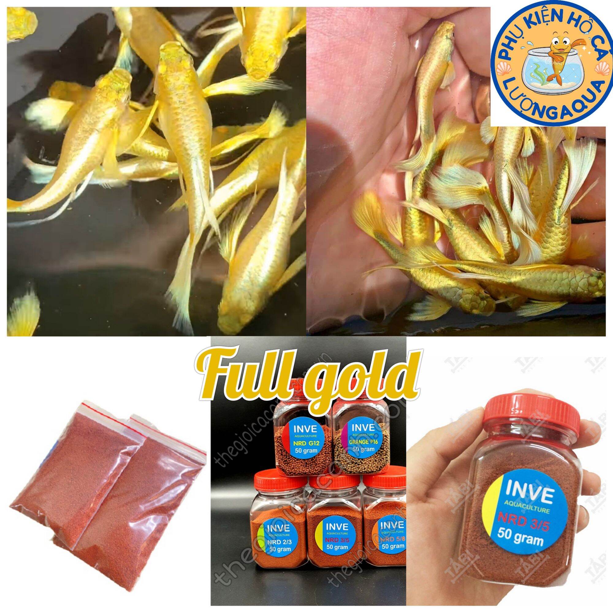 Tặng thùng mút và thức ăn cho đơn hàng từ 200k 7 màu full gold gen ribon thumbnail