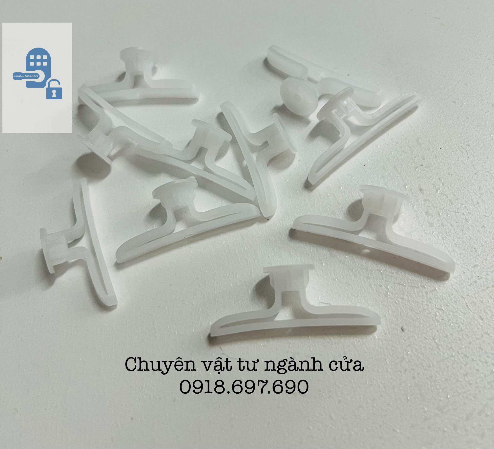 [ 10con ] Tắc kê thạch cao - tắc kê bướm