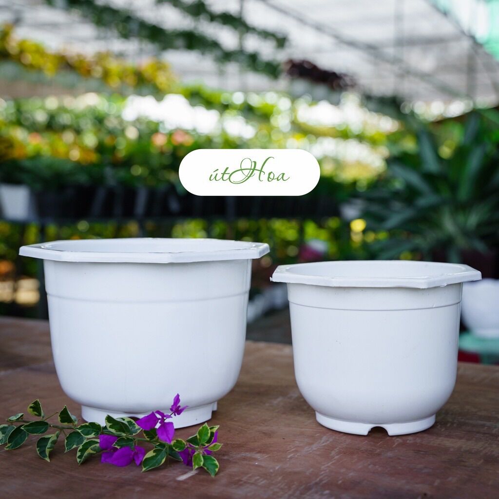Combo 10 Chậu Treo Trắng Trơn (Kèm Dây Treo)