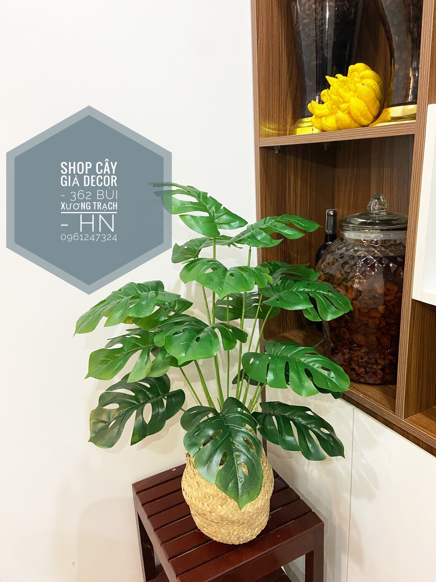 Combo cây lá xẻ + chậu + giỏ cói y hình