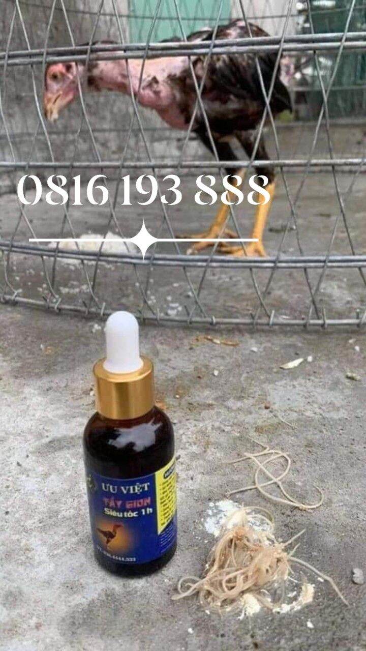 Thuốc tẩy giun ưu việt