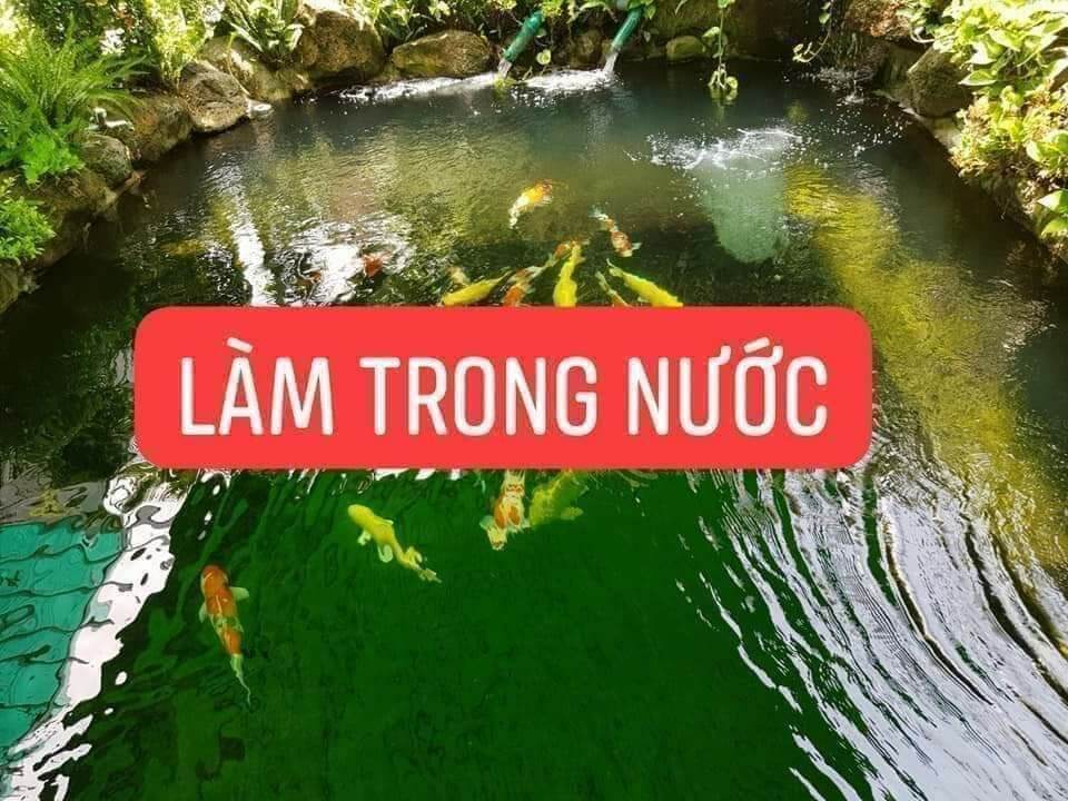 VI SINH BIO FISH KOI (  BÌNH  1 LÍT )