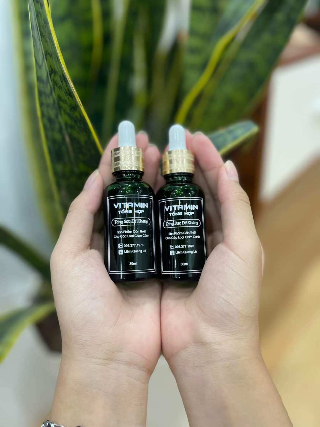Vitamin Tổng Hợp Liêm Quang Lê