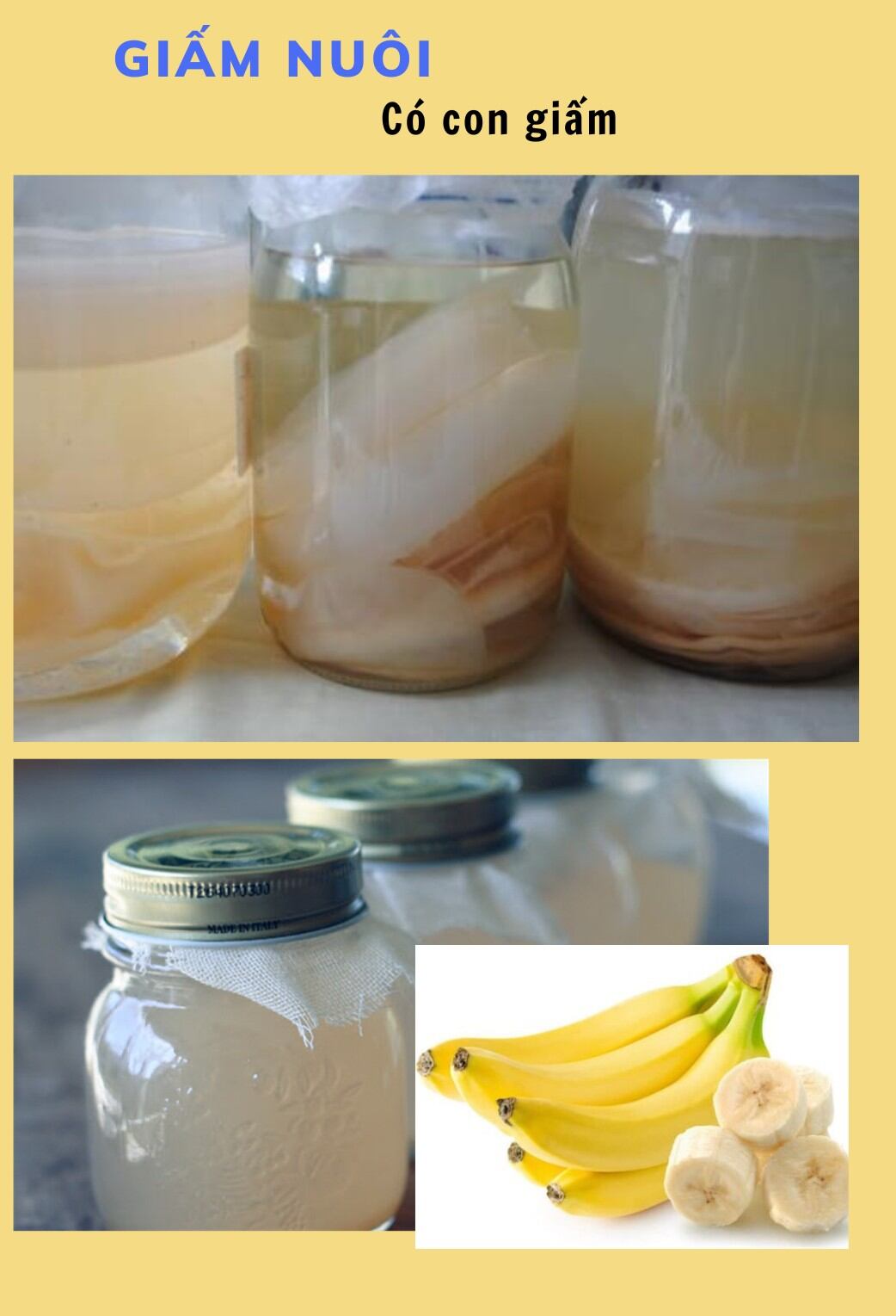 0.5 lít giấm ăn có con Giấm