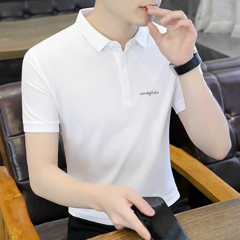 áo thun polo nam Cao cấp