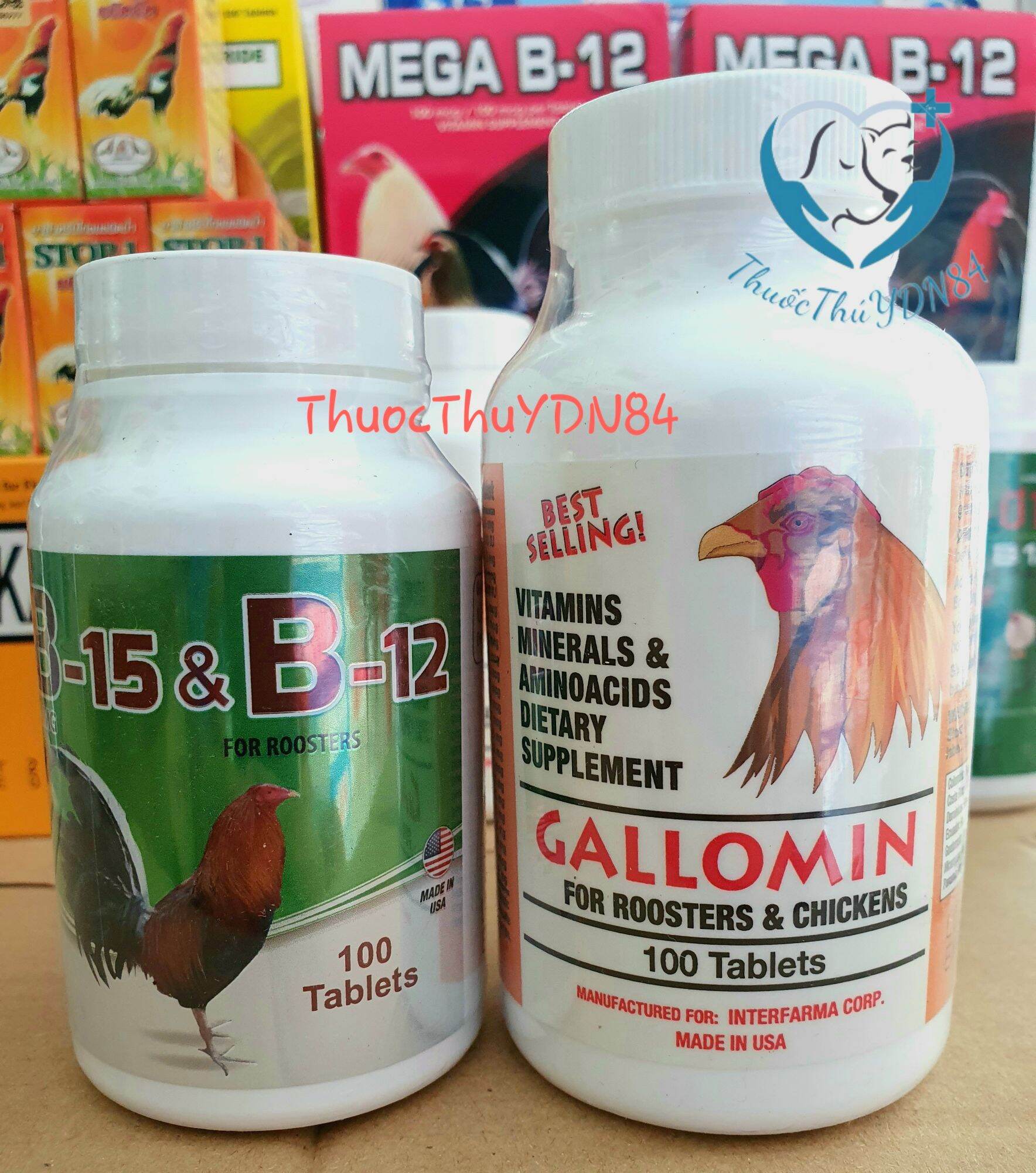 Bộ nuôi cao cấp gà đá gallomin + b12 & b15 hộp 100v