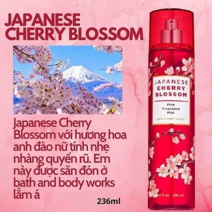 Xịt body mist Bath and Body Works Japanese Cherry Blossom 236ml