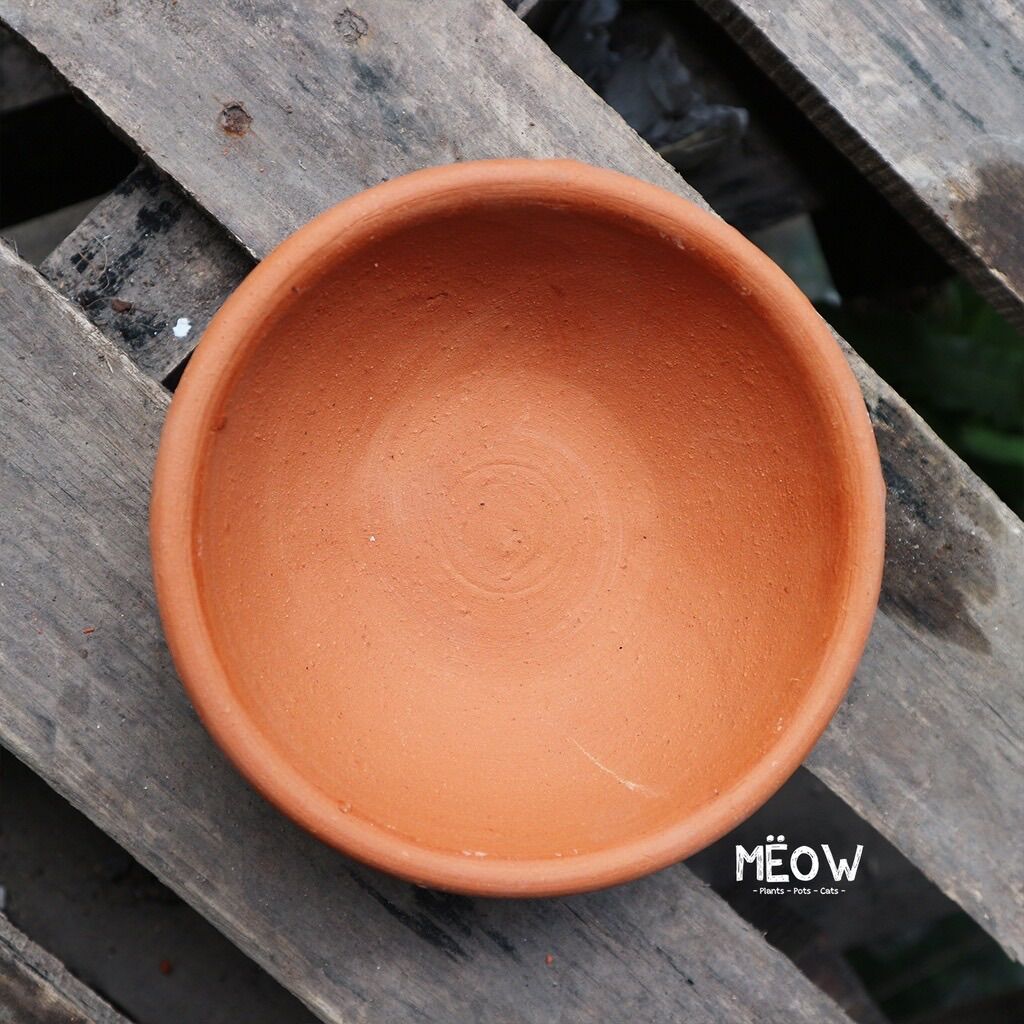 COMBO 7 chậu đất nung Chảo nhỏ 13x5