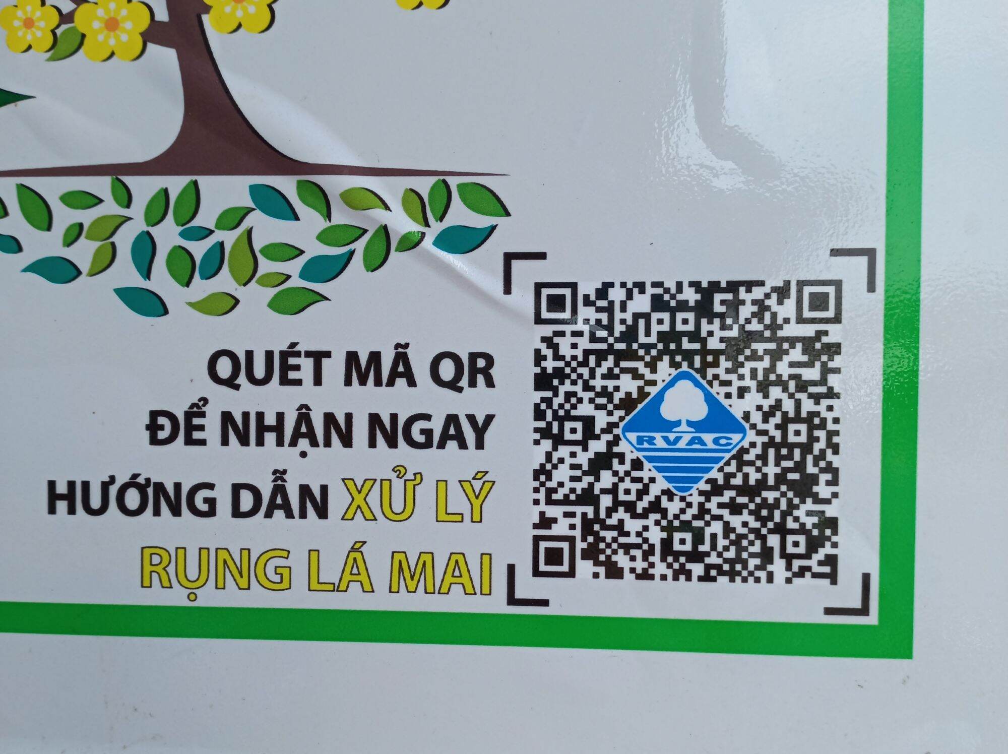 Rụng Lá Mai FOFER-X3 gói 200gr - Chế phẩm hổ trợ rụng lá mai - Không cần lặt tay