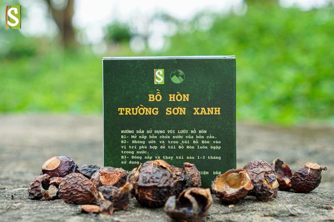 Hạt Bồ Hòn Tách Hạt 40g+ Túi Lưới HTX Sinh Dược