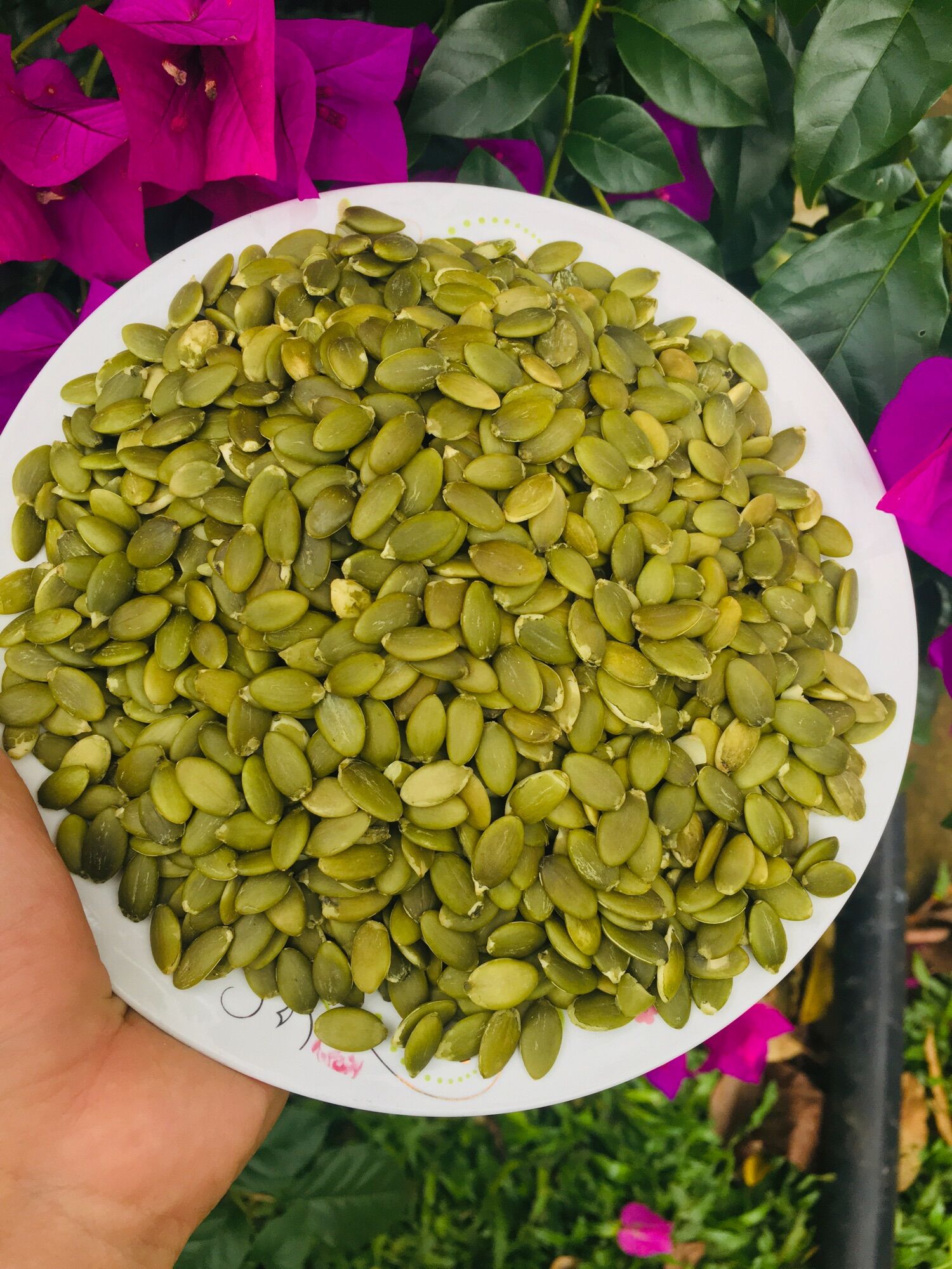 Hạt bí xanh Ấn độ 500gr - Đã tách vỏ