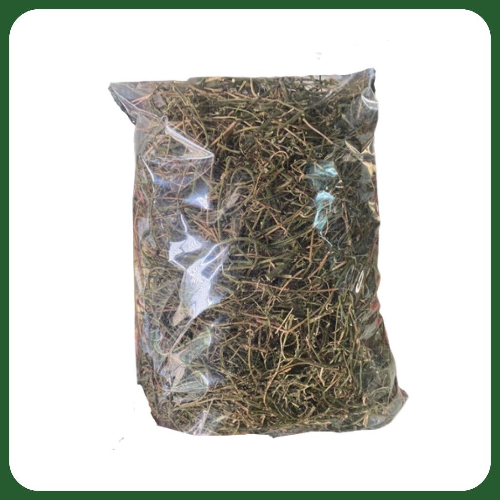 DÂY KHỔ QUA RỪNG ( MƯỚP ĐẮNG RỪNG ) - Túi 500gr