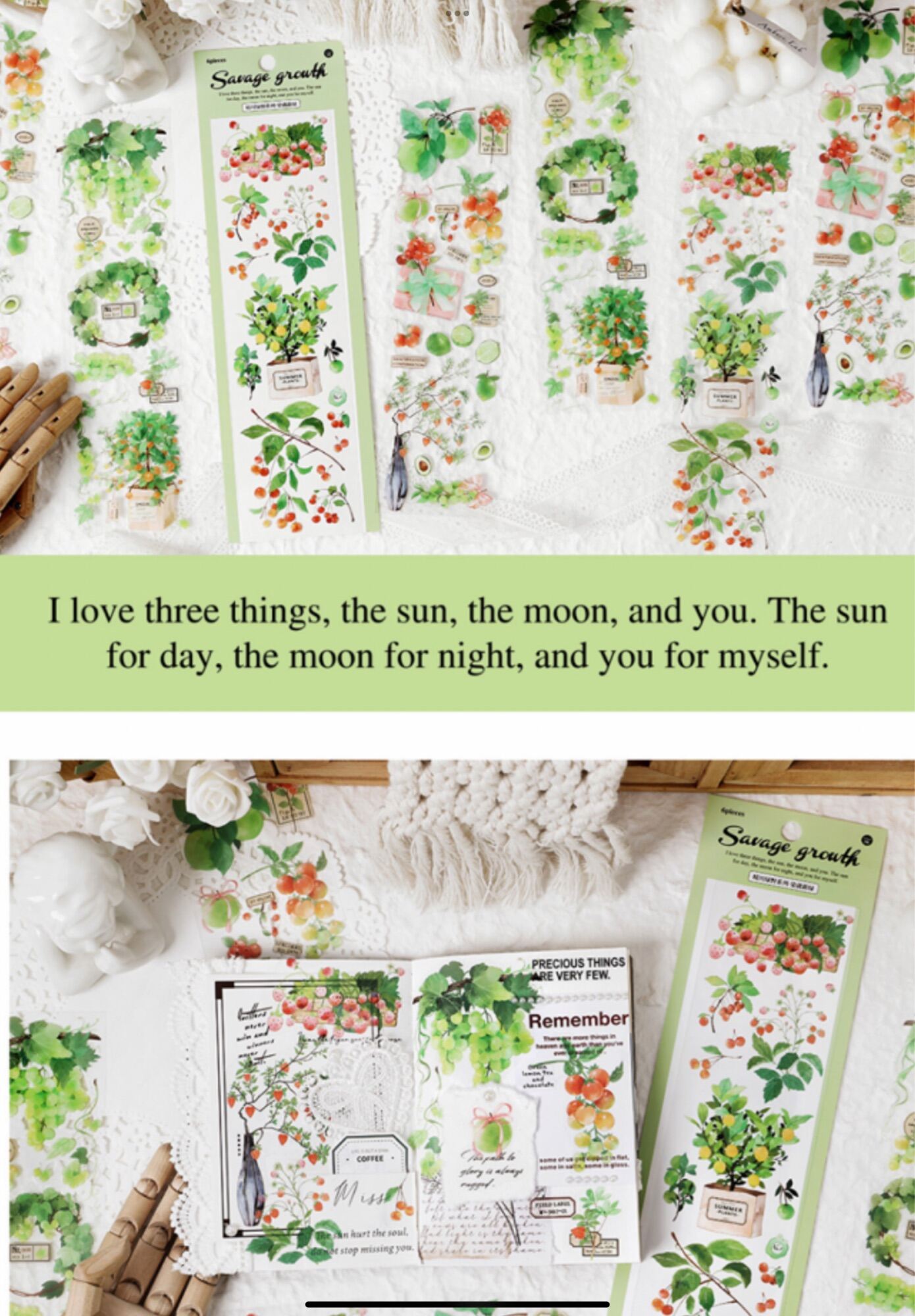 Set 6 tờ sticker hình hoa, lá , chậu cây, … dùng để trang trí. 