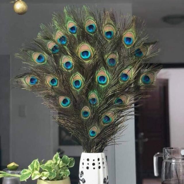 Lông công thật