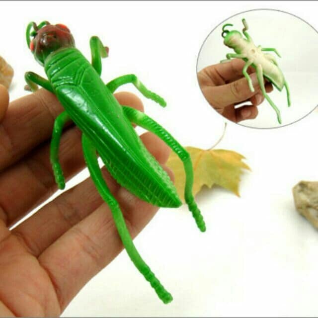 Đồ chơi côn trùng Châu chấu/cào cào bằng su