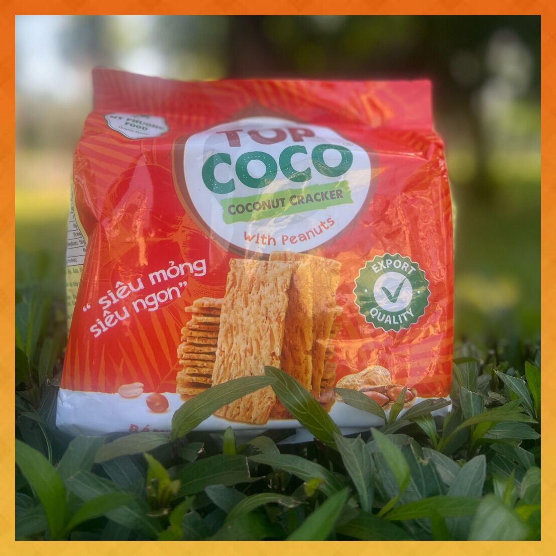 Bánh dừa nướng đậu phộng Topcoco gói 170g