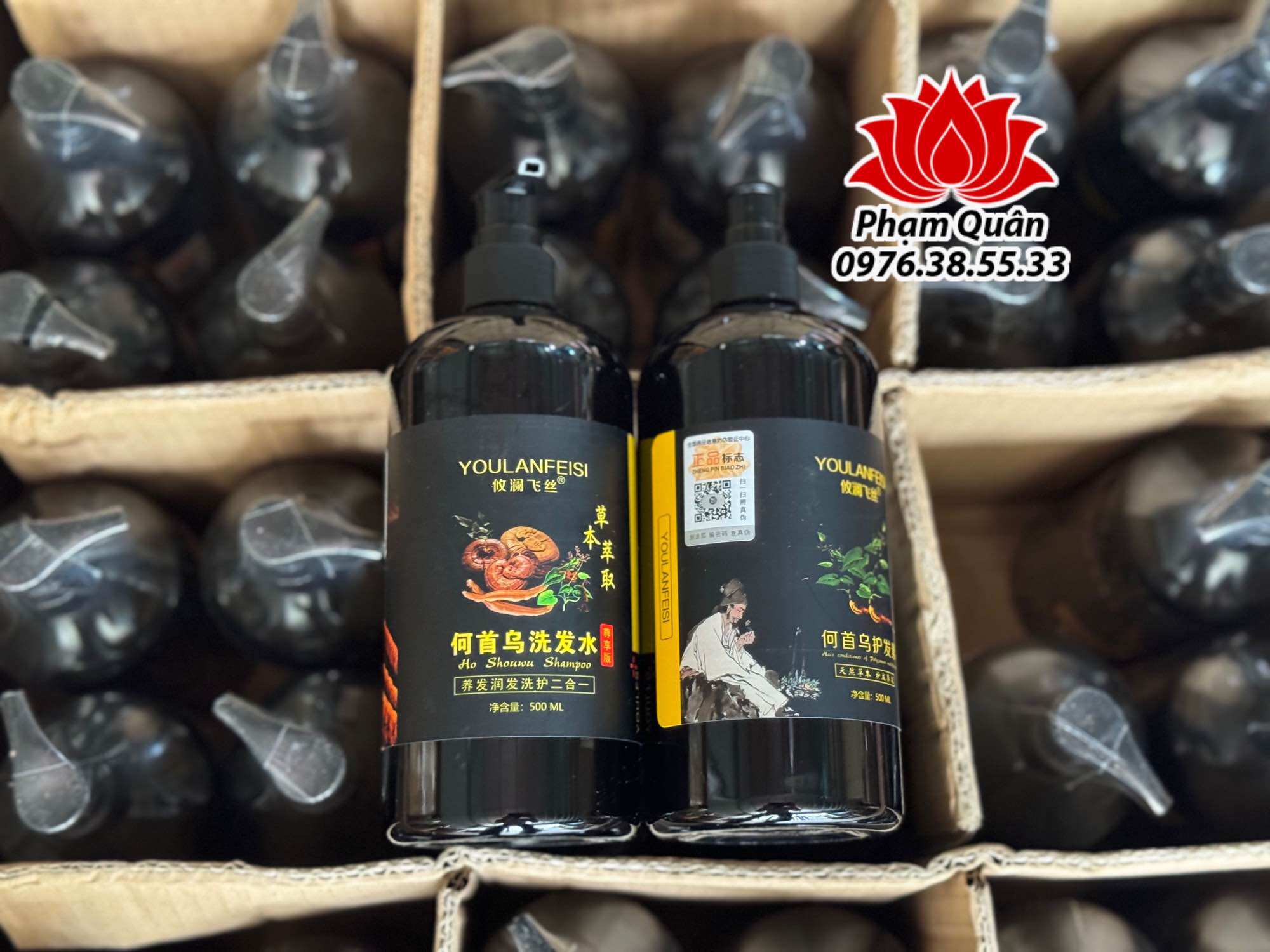 Cặp dầu gội thảo dược Hà Thủ Ô- Linh Chi 500ml