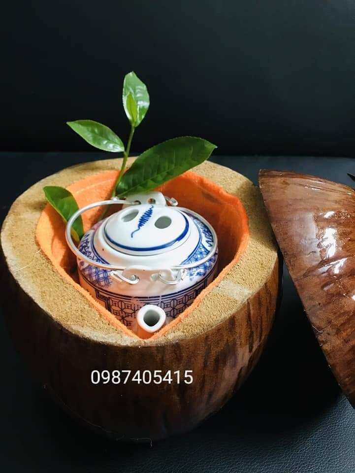 Bình ủ ấm trà trái dừa 1,2l không đế