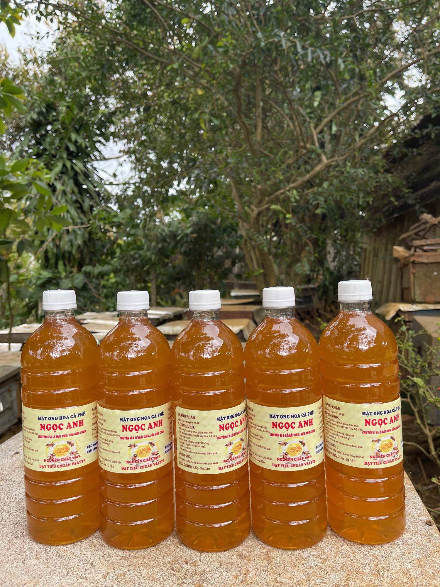 1LÍT mật ong hoa cà phê Bảo Lộc