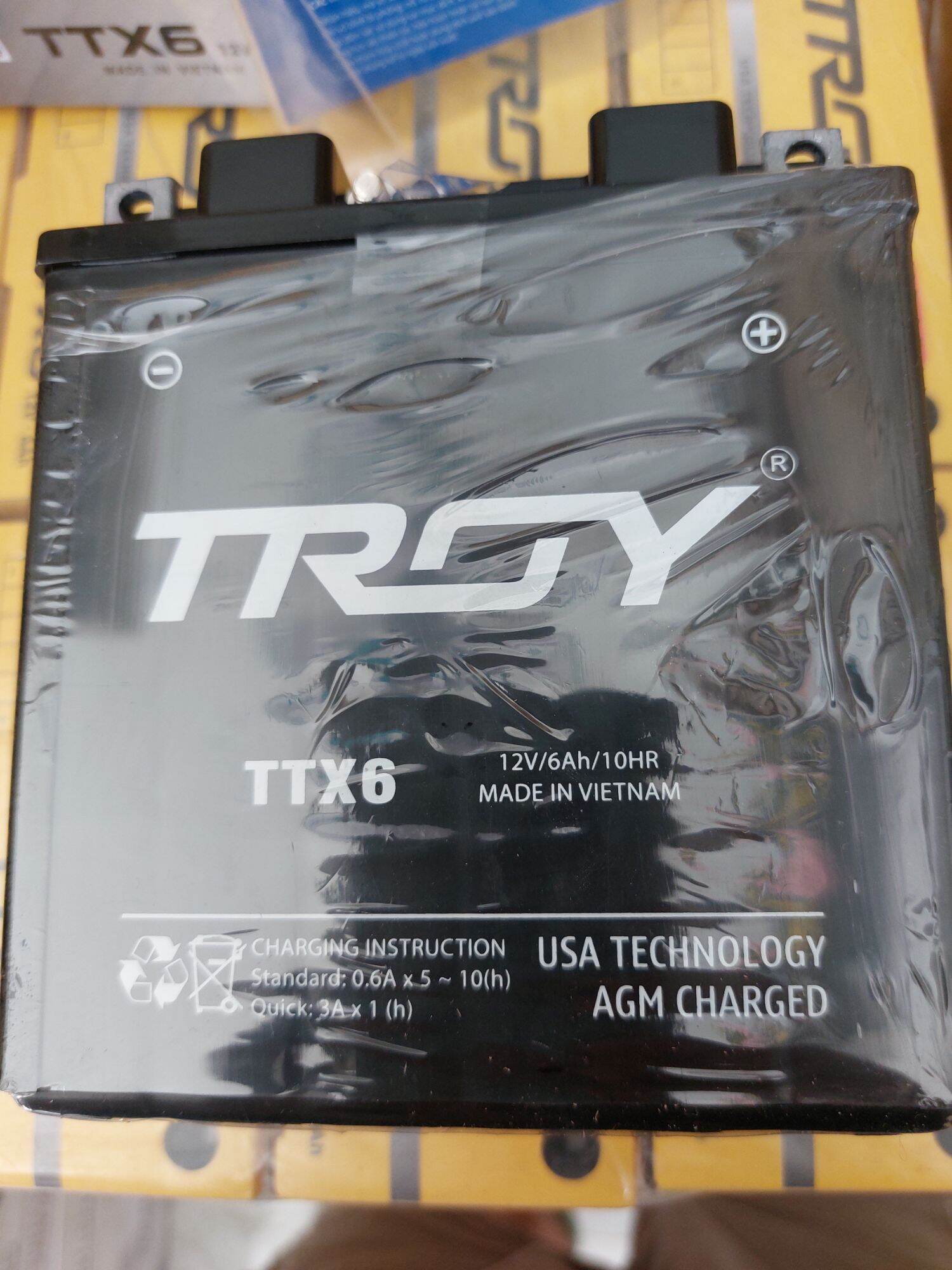 Ắc quy TROY TTX6