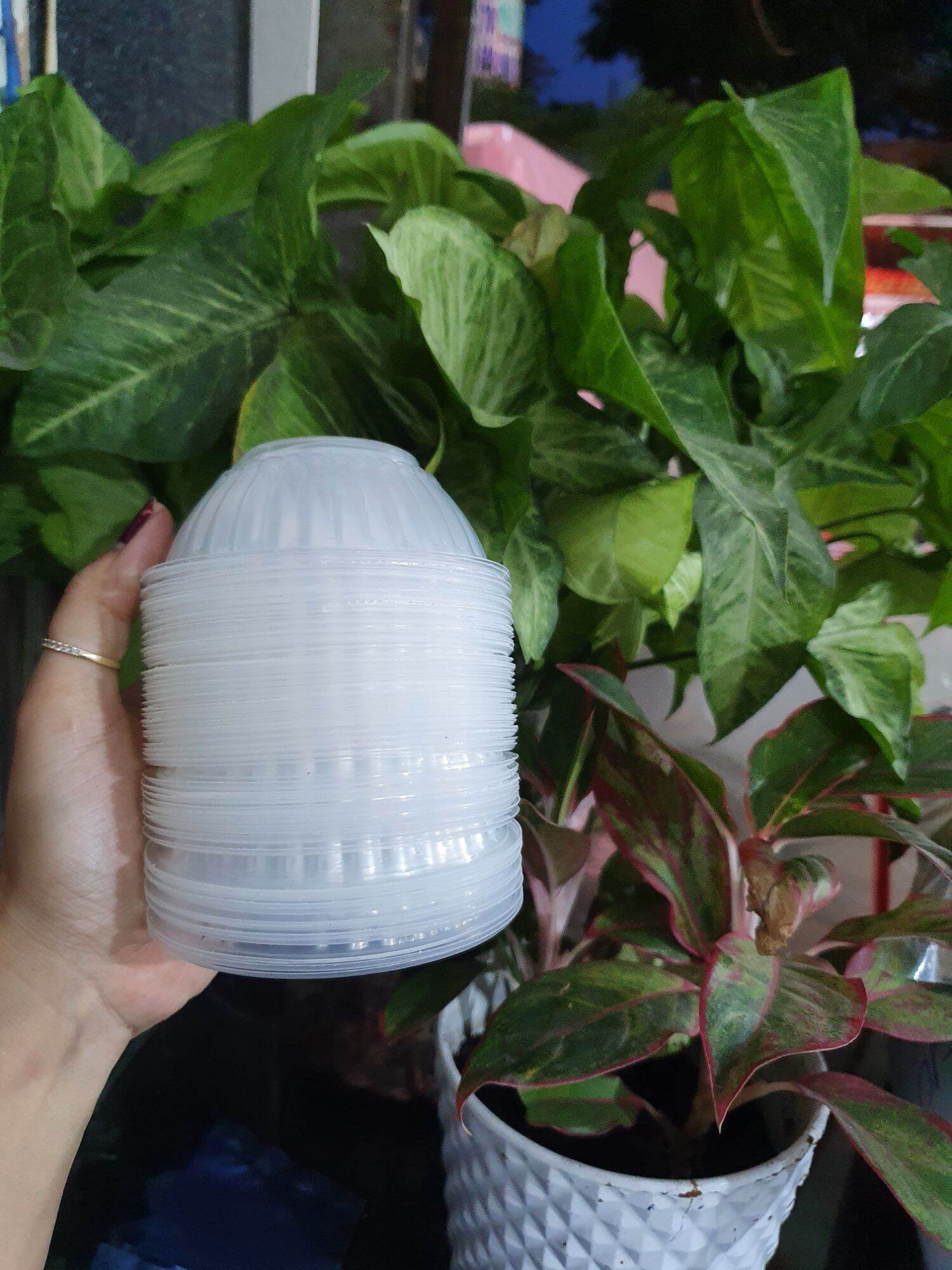 Lốc 50c chén 301, CHÉN NƯỚC CHẤM, CHÉN NHỎ, dùng 1 lần nhựa trong, cứng cáp, hàng đẹp.