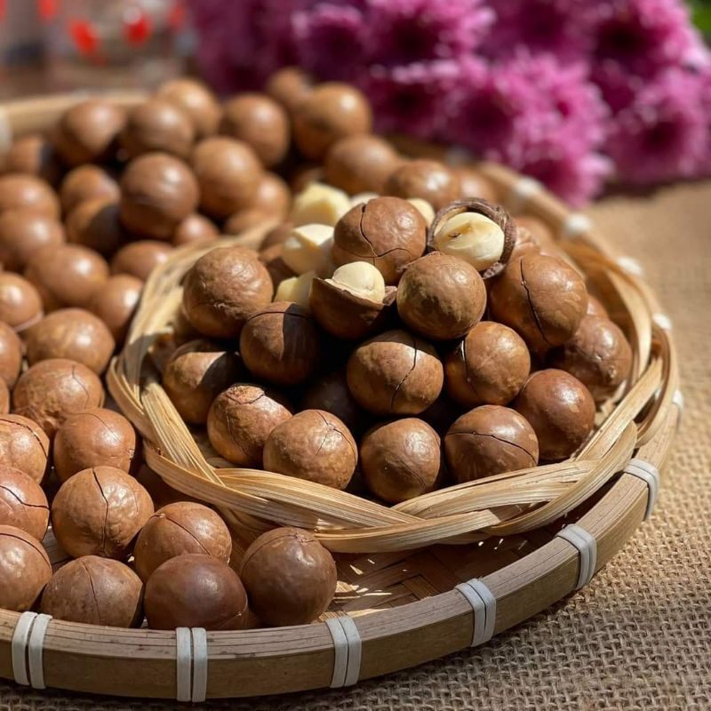 [HCM]Hạt Macca size bi 500gr [GIÁ RẺ] - 500gr