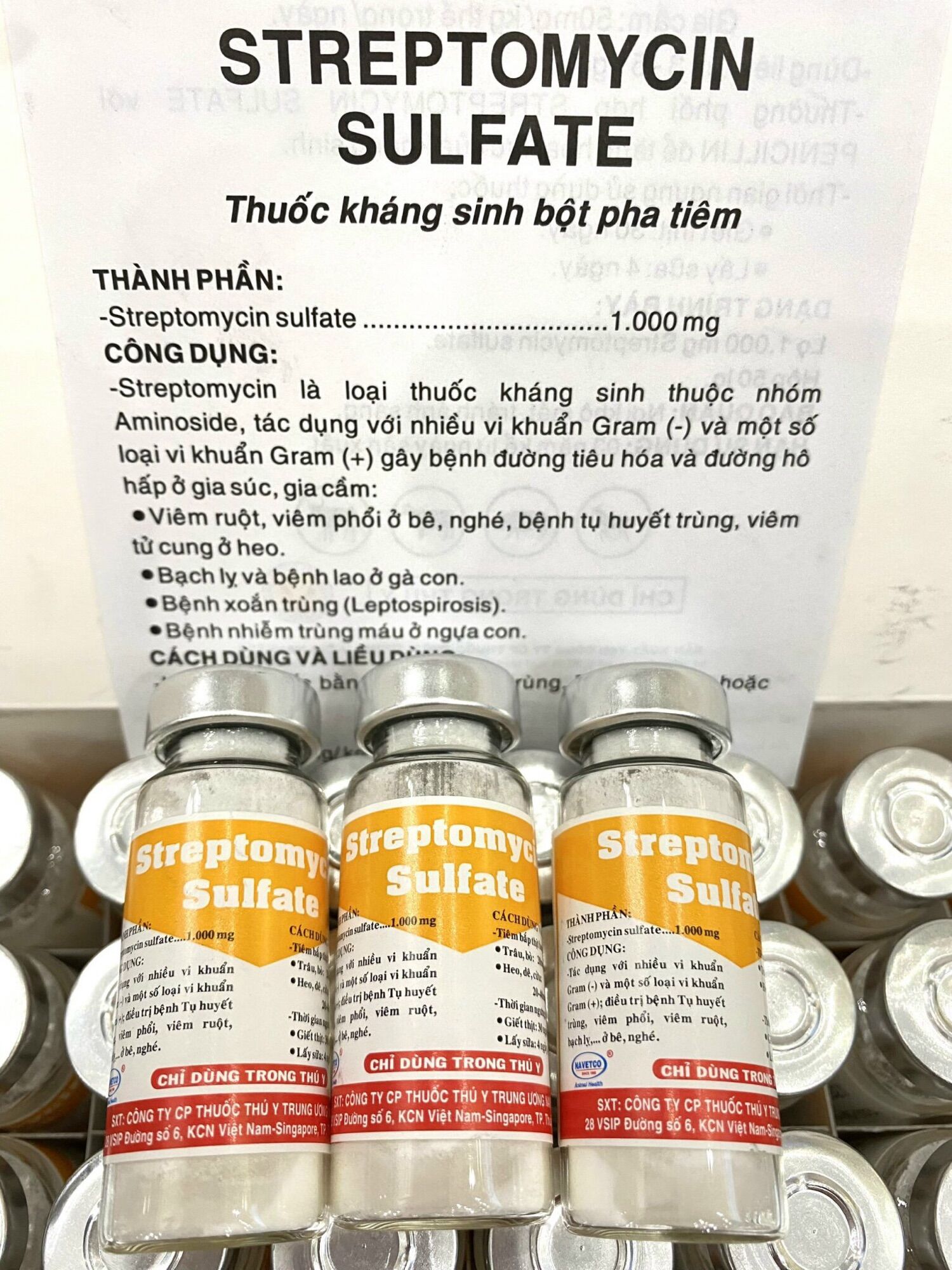 3 lọ streptomycin sulfate dùng cho trâu bò lợn gà