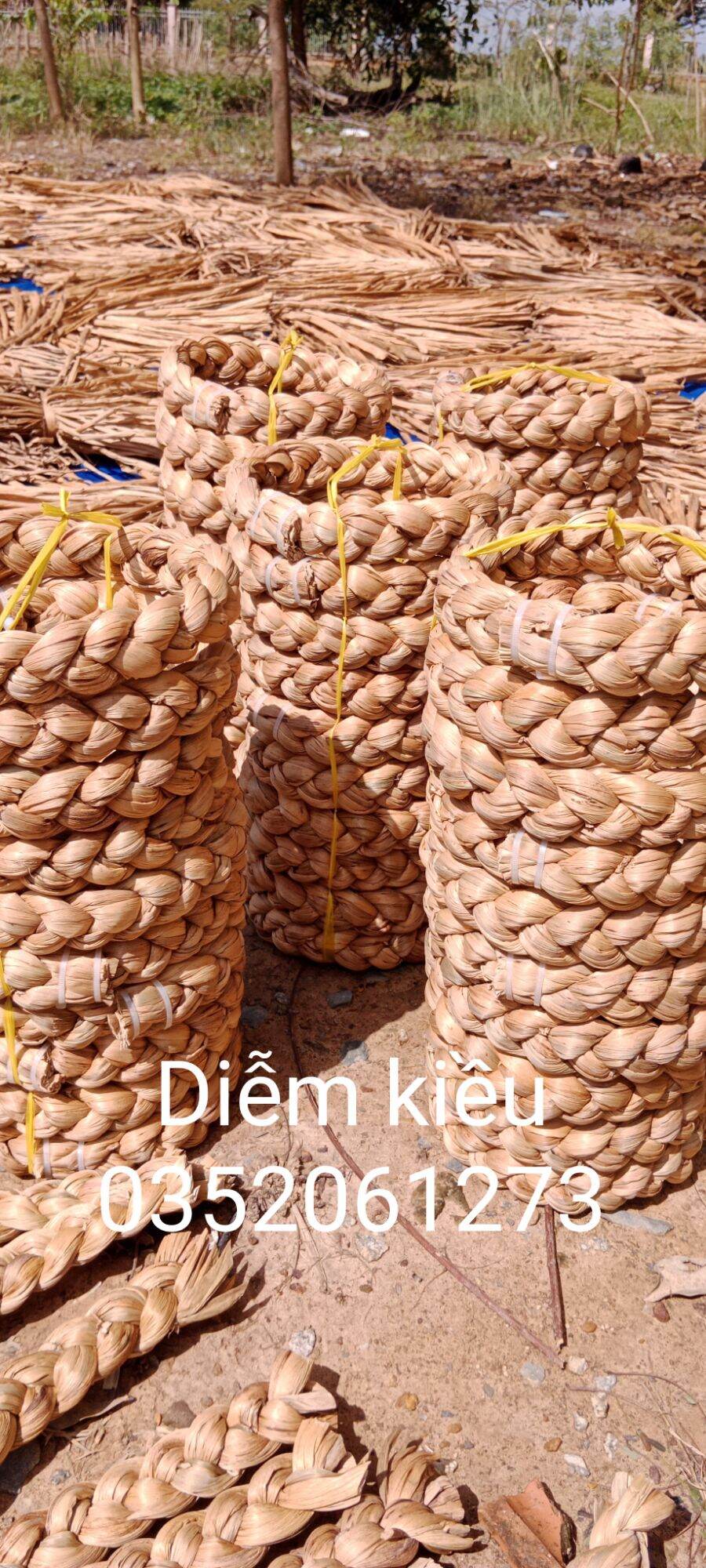 Đế chưng dưa, dừa, bưởi...