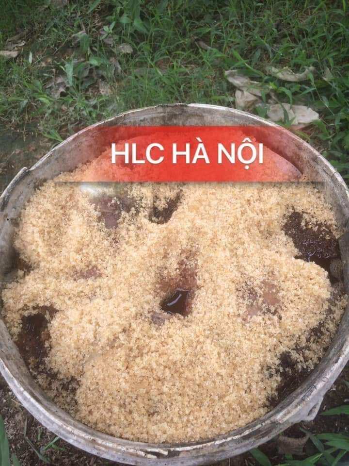 Chế phẩm sinh học men ủ cả và đậu tương N07 HLC