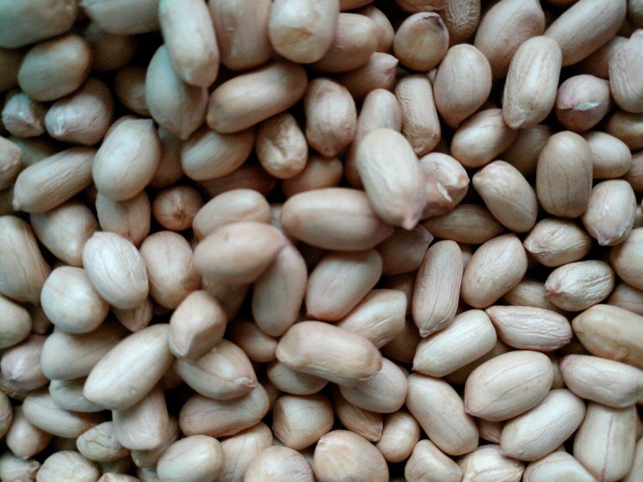 ĐẬU PHỘNG 1KG
