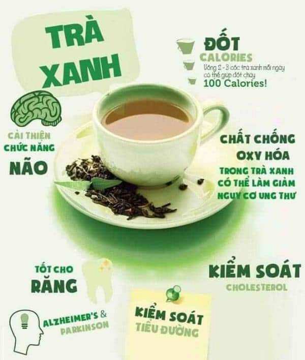 TRÀ  SÂM DỨA HOÀNG HẢO gói lớn 300g