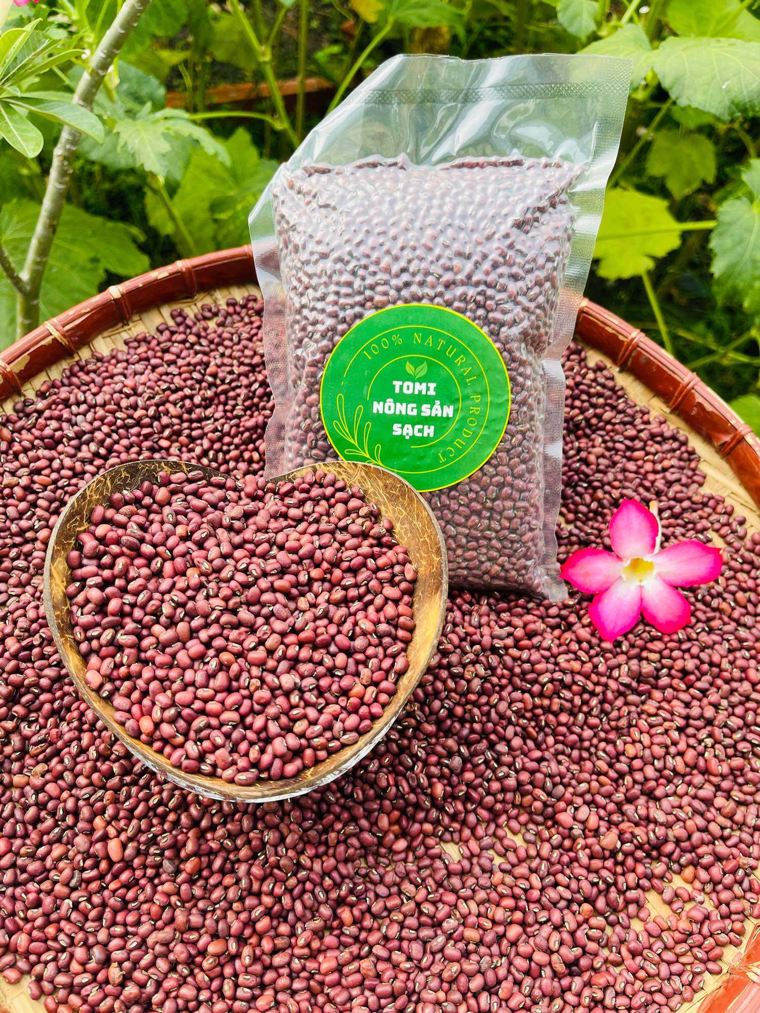 Đậu đỏ quê tây ninh