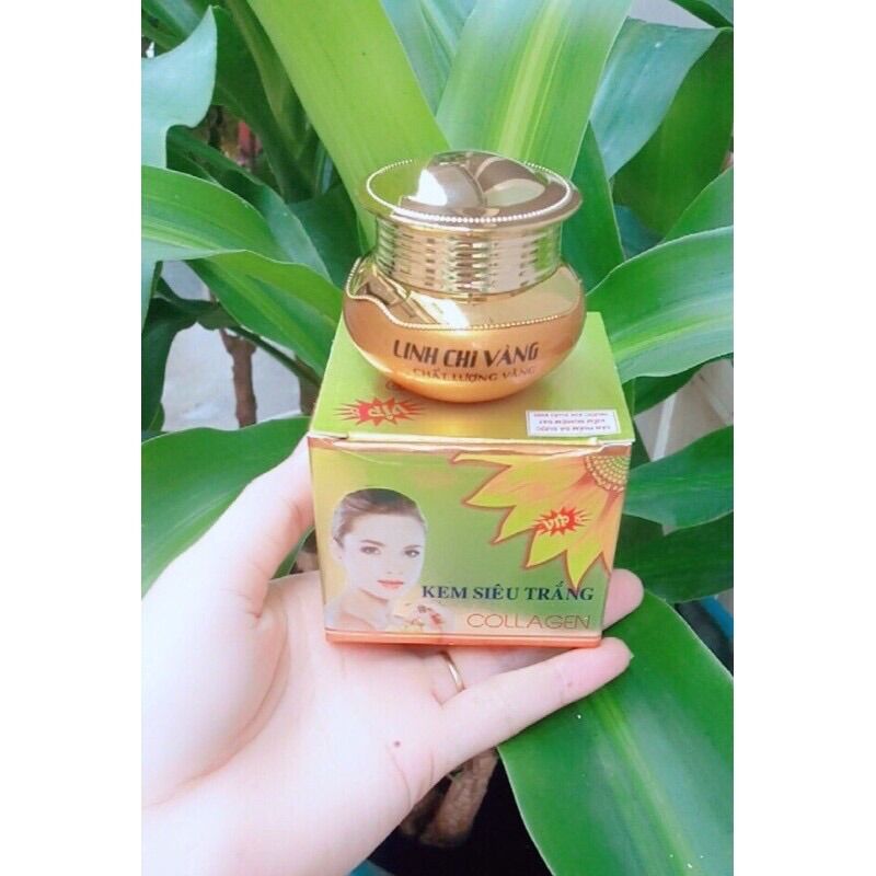 [HCM]Kem Siêu Trắng Linh Chi Vàng 25g