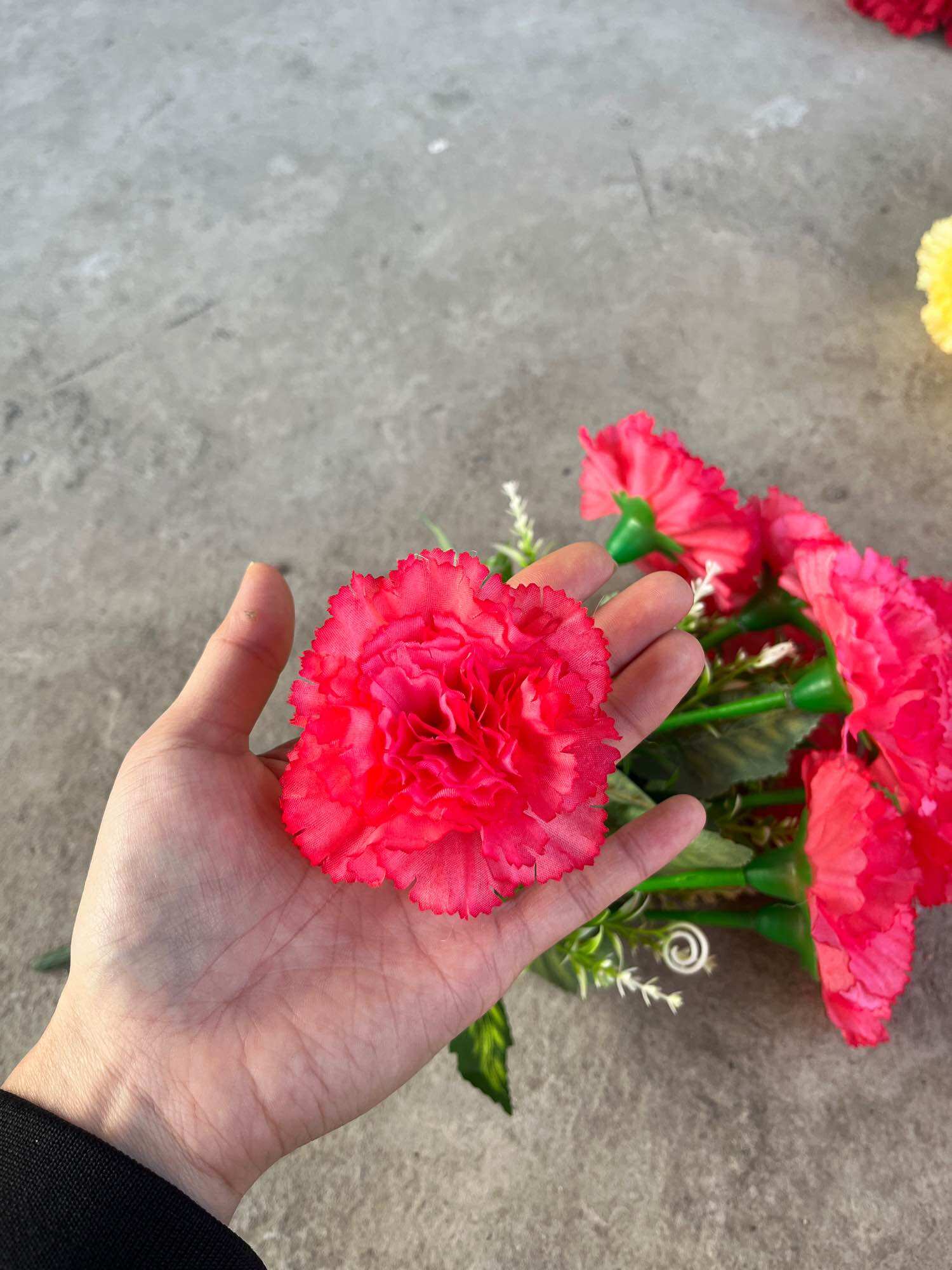 Cụm Hoa Phăng 10 Bông Cắm Bình Bát