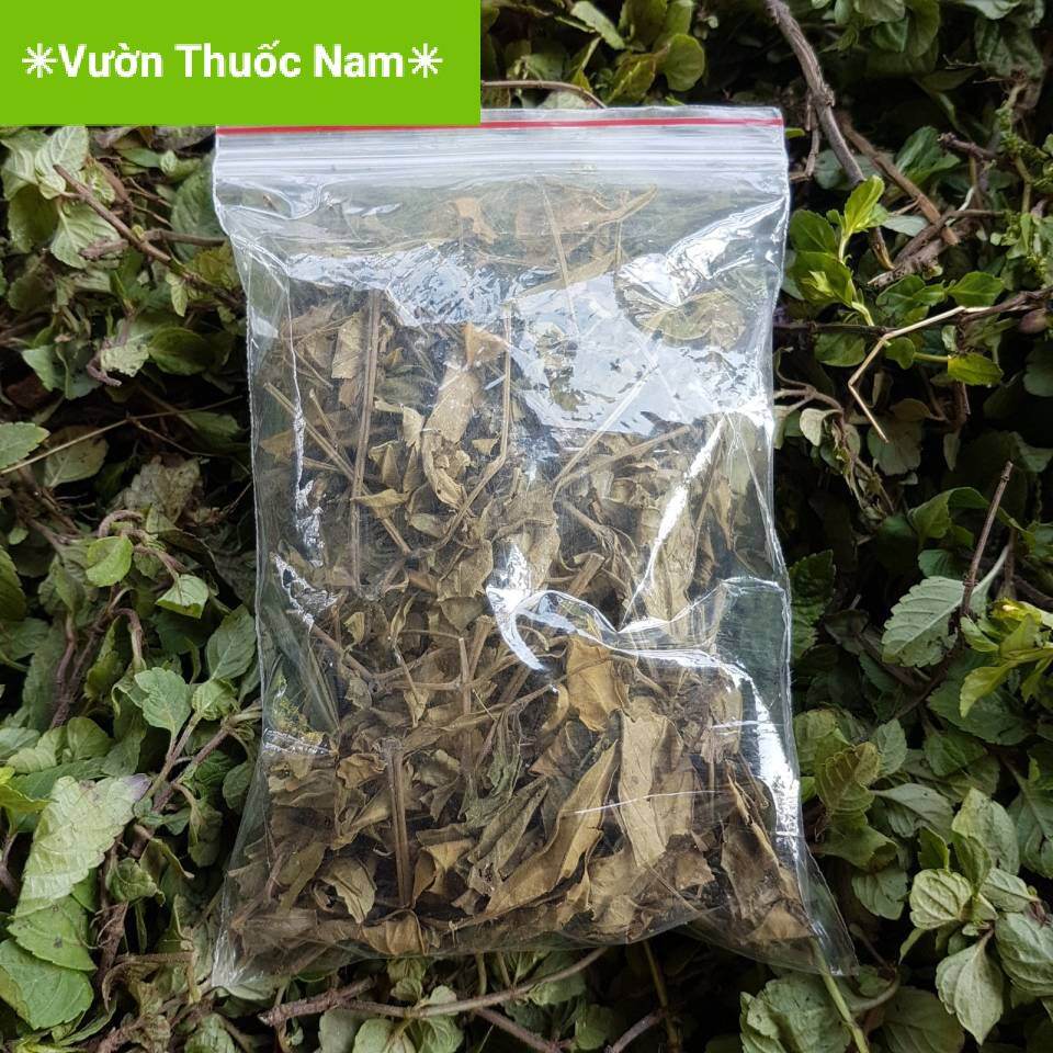 Set 500gam cây sương sáo khô dùng nấu thạch sương sáo