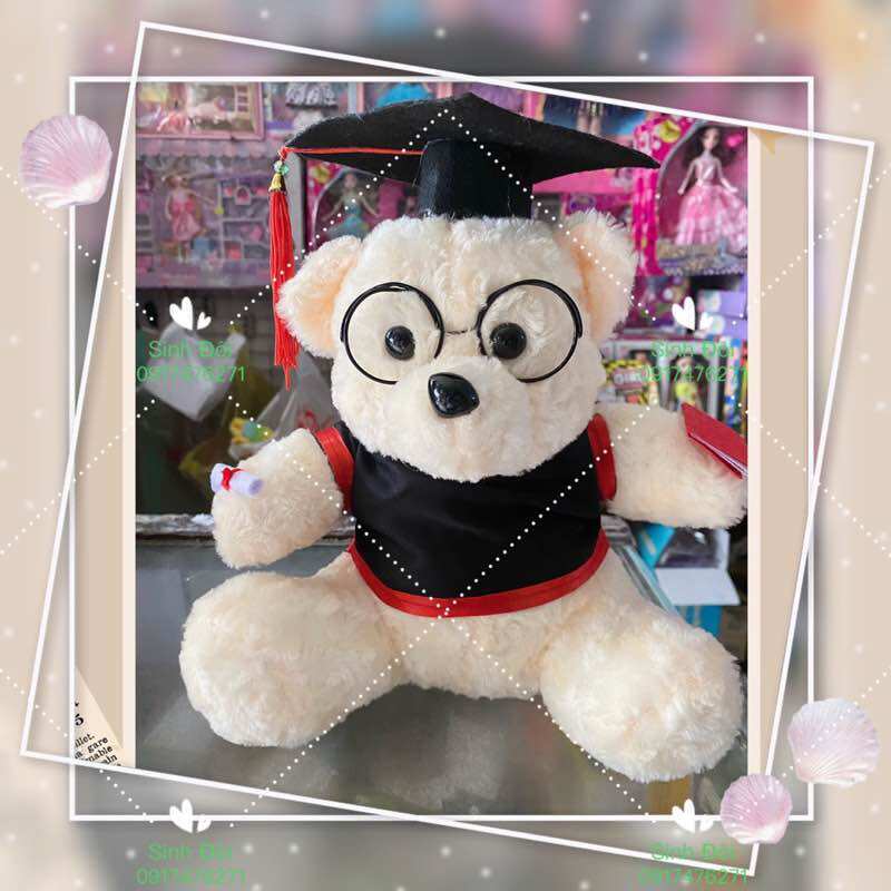 Thú bông gấu tốt nghiệp 27 cm