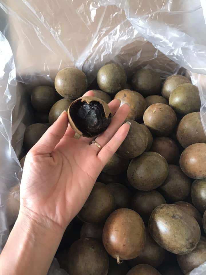 Quả la hán 500g Cho người viêm họng, phổi, phế quản