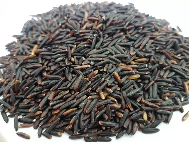 Hạt giống lúa nếp than, tím than túi 1kg