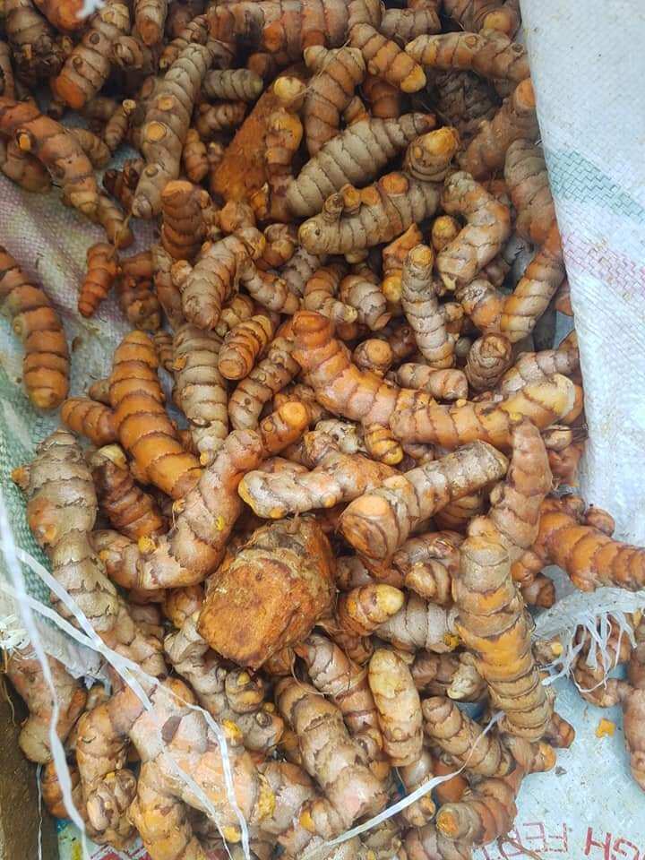 củ nghệ vàng tươi nhà trồng 1kg